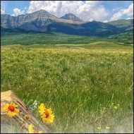 Ecosystem Health Library